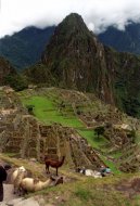 Machupichu