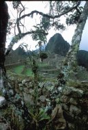 Machupicchu