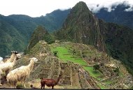 Machupicchu, a romváros